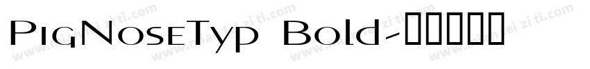 PigNoseTyp Bold字体转换